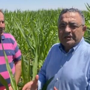 diyarbakirda ciftciler ve chpli tanrikulu akp iktidarlari doneminde ciftciler fakirlesmistir v2ssgCil