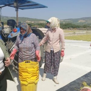 gulizar bicer karacadan tarim bakanligina kurum uzum cagrisi b8Xb6bmh