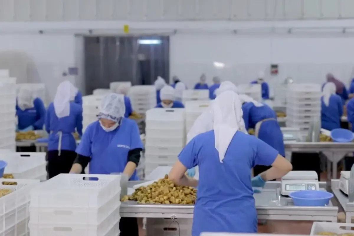 14 ulkeye ihracat yapan turk gida devi konkordato ilan etti 1XODgeu2