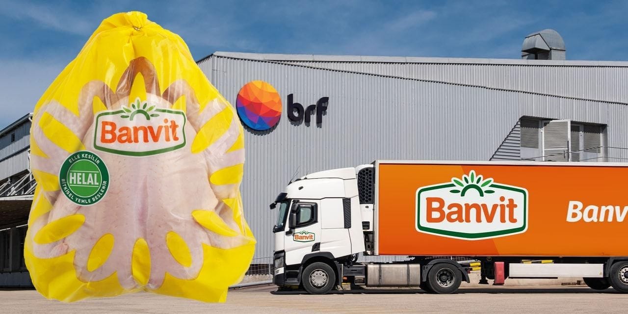 beyaz et devi banvite dev ceza ERMqs5pG