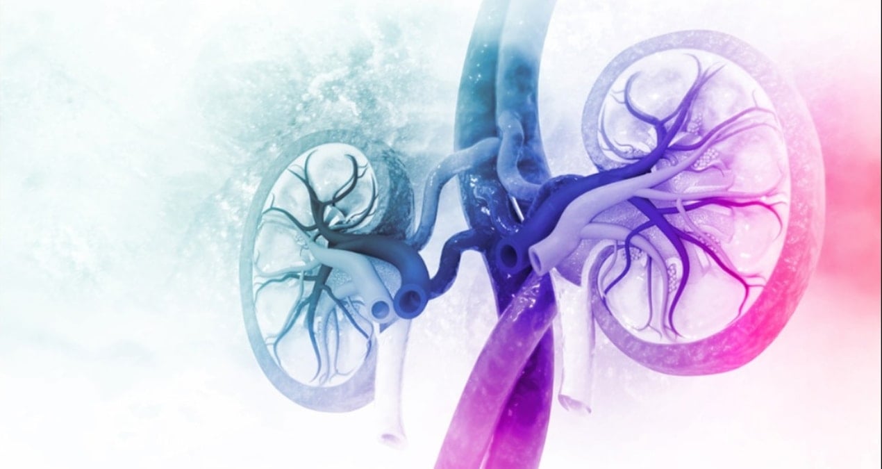 bobreklerinizi boyle koruyun hO6tP8Gr