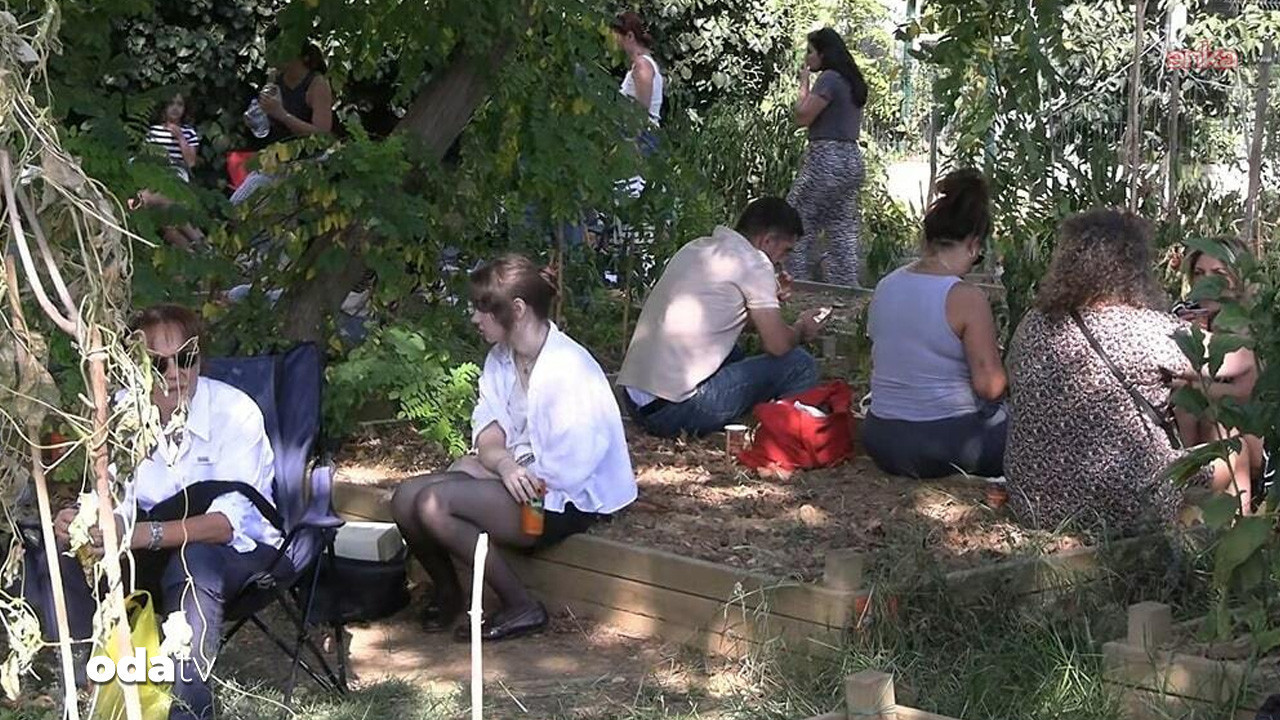 caferagada son yesil alan tepkisi buyuyor MwJYWUT7