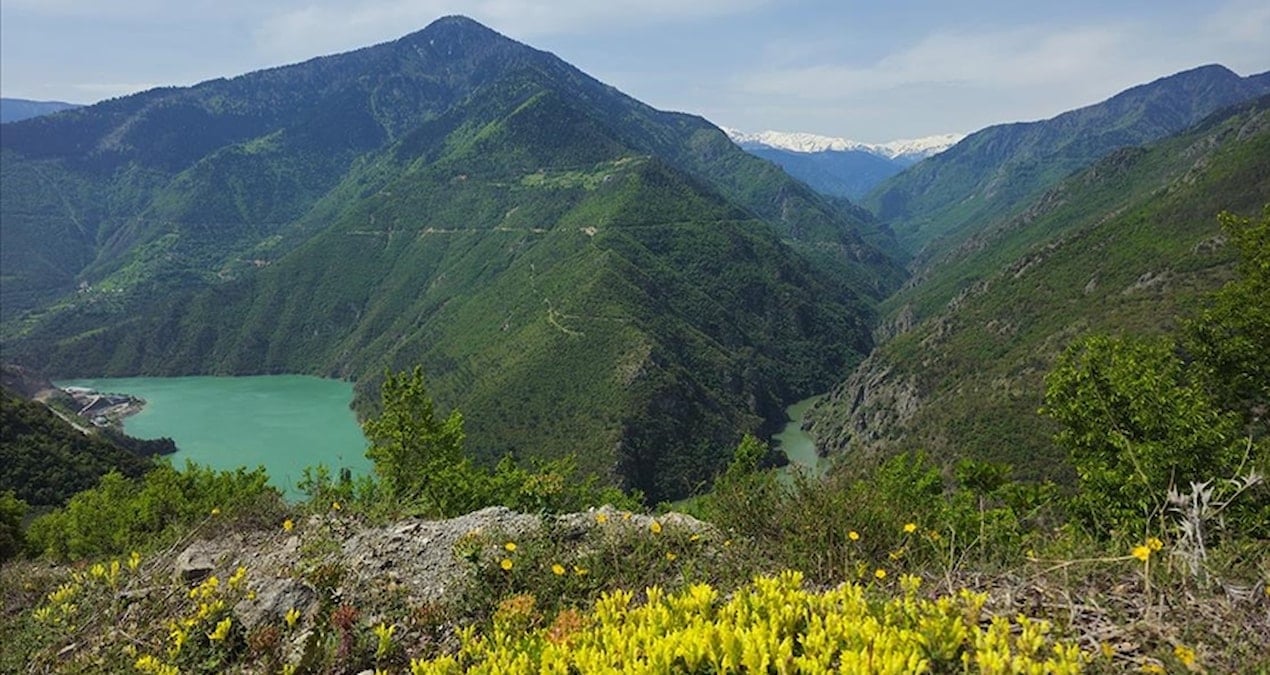 karadenizin en saglikli sehri belli oldu ywnZGHlh