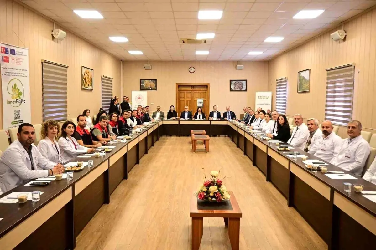 aydinda incirin gelecegi icin toplanti gerceklestirildi P3Plx2QC.jpg