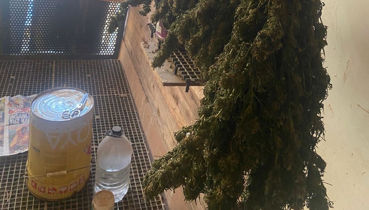 bursada guvercin kumesine gizlenmis uyusturucubulundu msfkcUlN