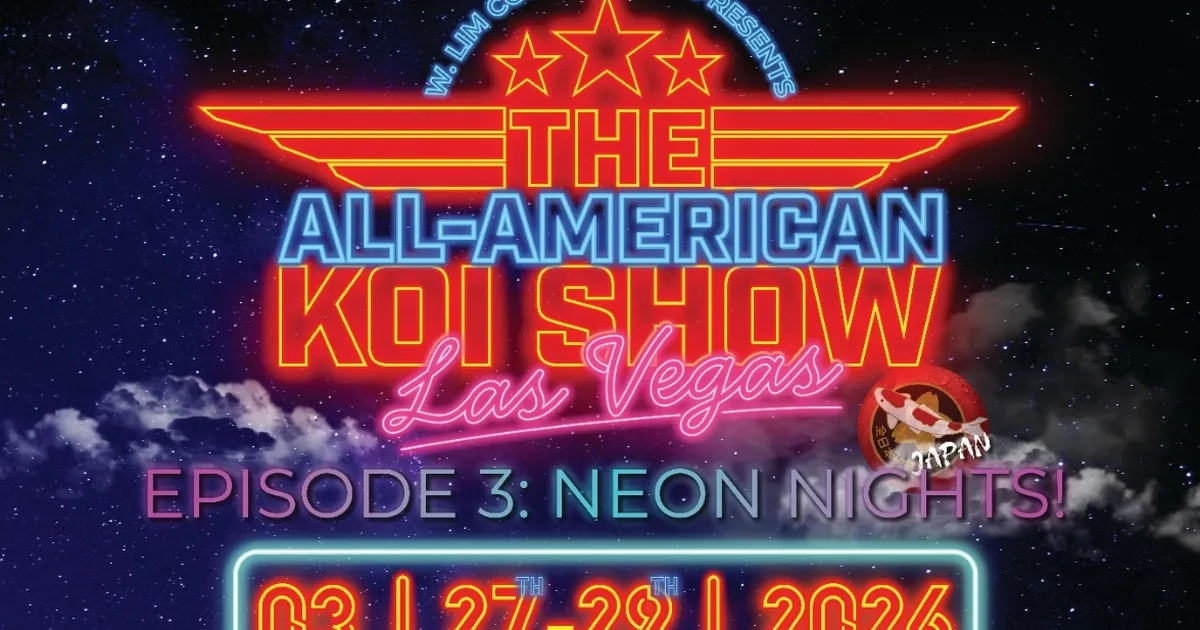 all american koi show 2026 koi dunyasinin en prestijli yarismasi las vegasa donuyor igAHfjtH.webp